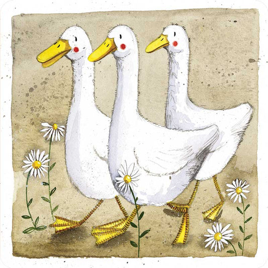 Alex Clark Dillard, Dudley & Bill Coaster