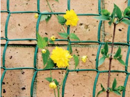 The Good Life Climbing Plant Support 5m x 1m Green