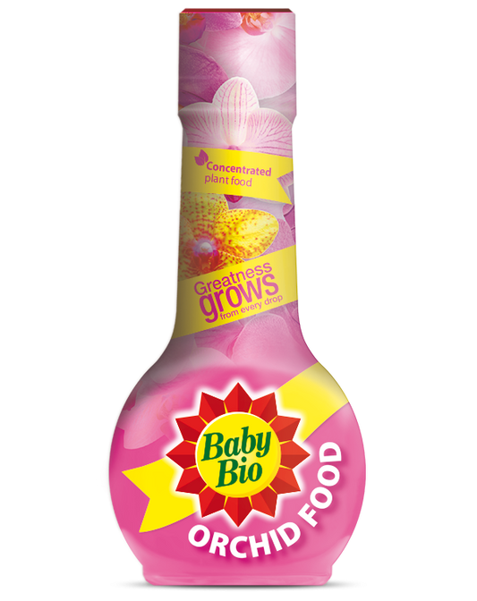 Baby Bio Orchid Food 175ml