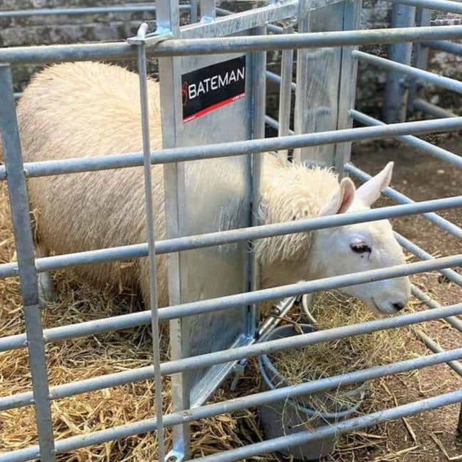 Bateman Lamb Adopter Hurdle