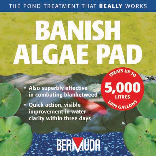 Bermuda Banish Algae Pad