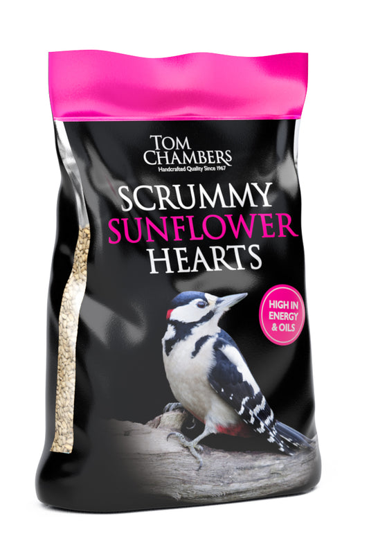 Tom Chambers Half Coconutty Feeder with Raisins