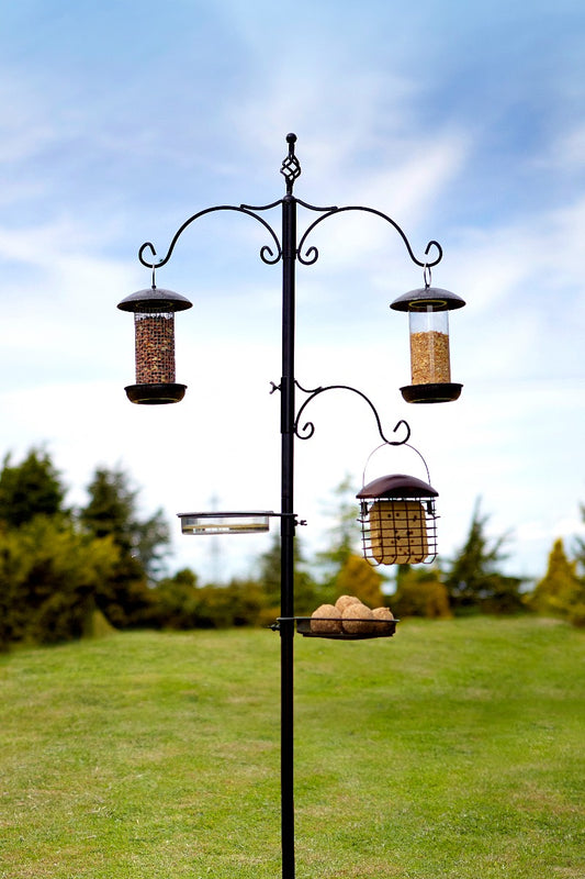 Tom Chambers Classic Bird Station