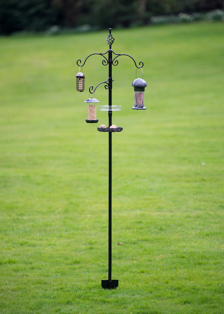 Tom Chambers De-Luxe Bird Station