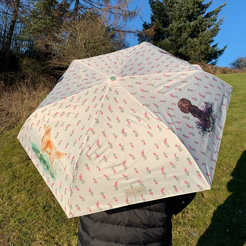 Alex Clark Umbrella