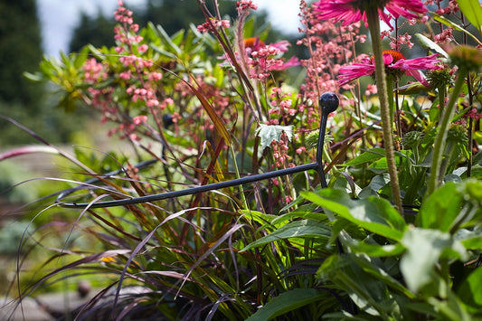 Tom Chambers Garden Arc Large