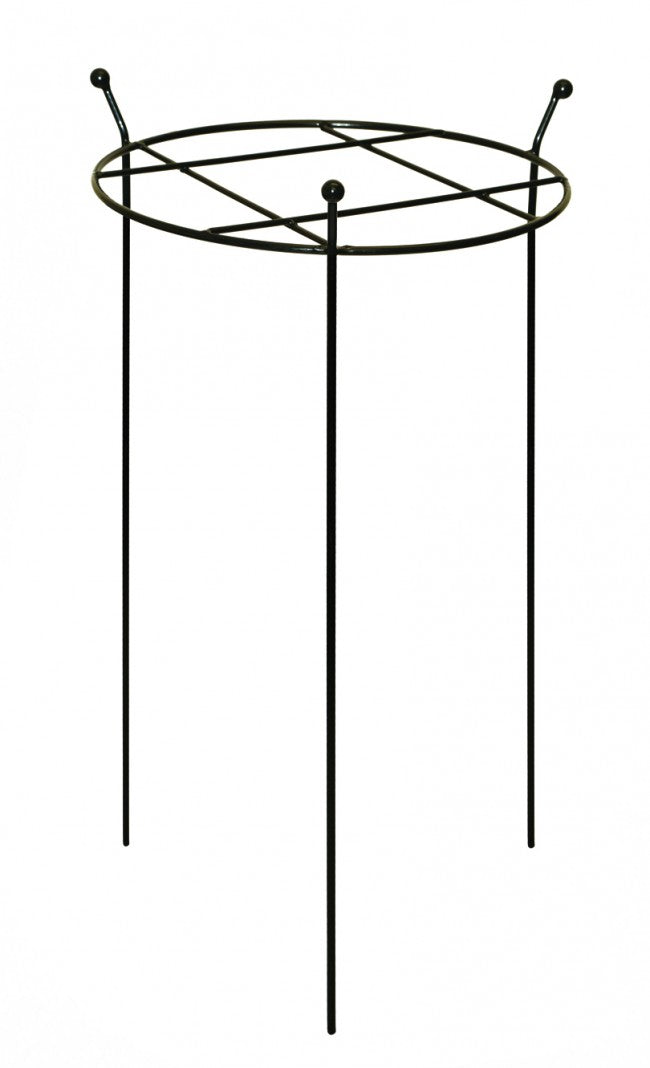 Tom Chambers Cottage Garden Grow-Thru Large