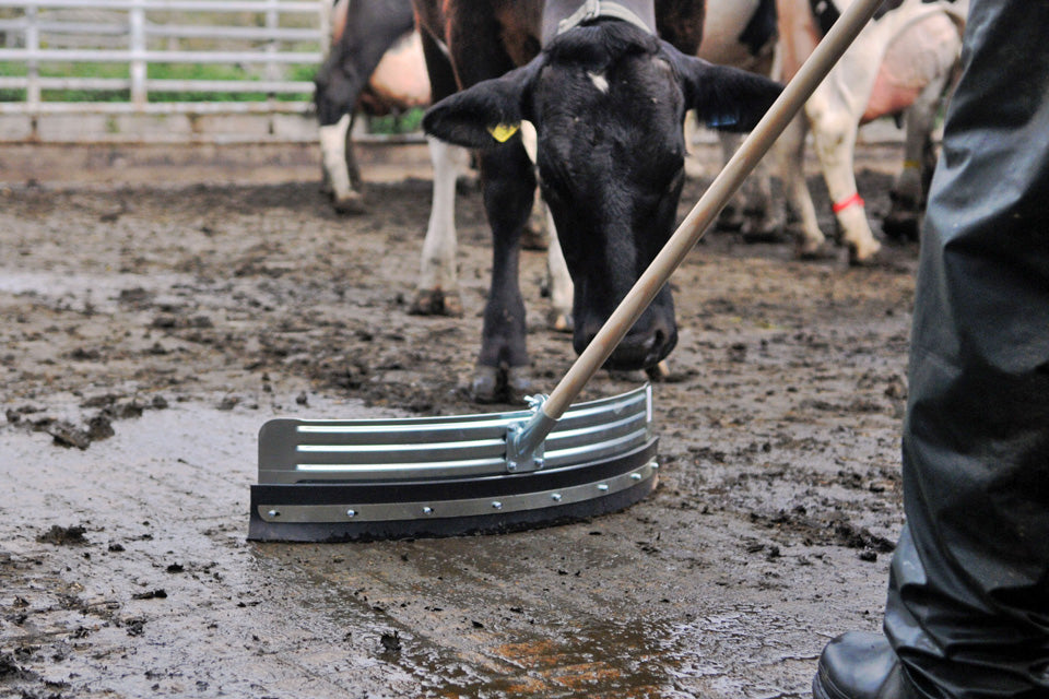 Dub'L-Lif Curved Squeegee / Yard Scraper