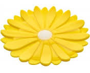 Charles Viancin Daisy Coaster