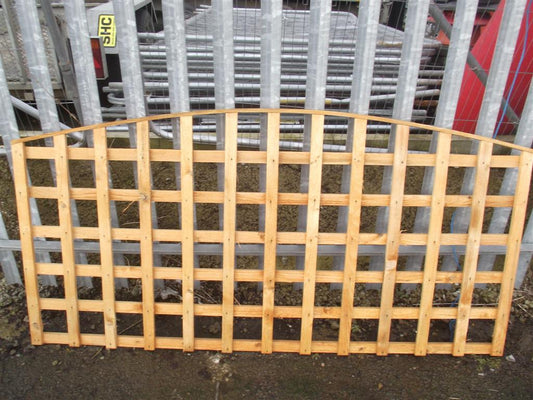 6' x 4' Arched Trellis