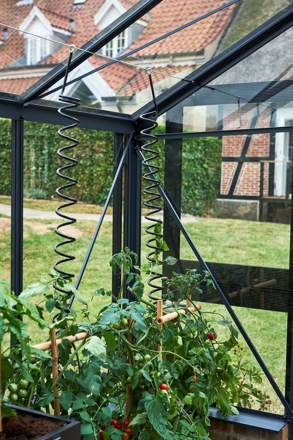 Juliana Plant Spirals 3-Pack