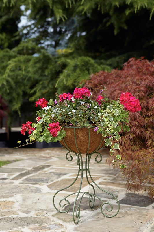 Tom Chambers Fiore Planter Small