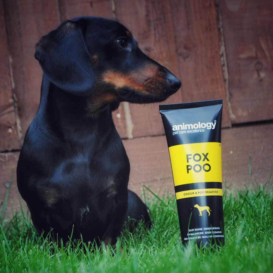 Animology Fox Poo Dog Shampoo 250ml Animology Pet Care Sam Turner