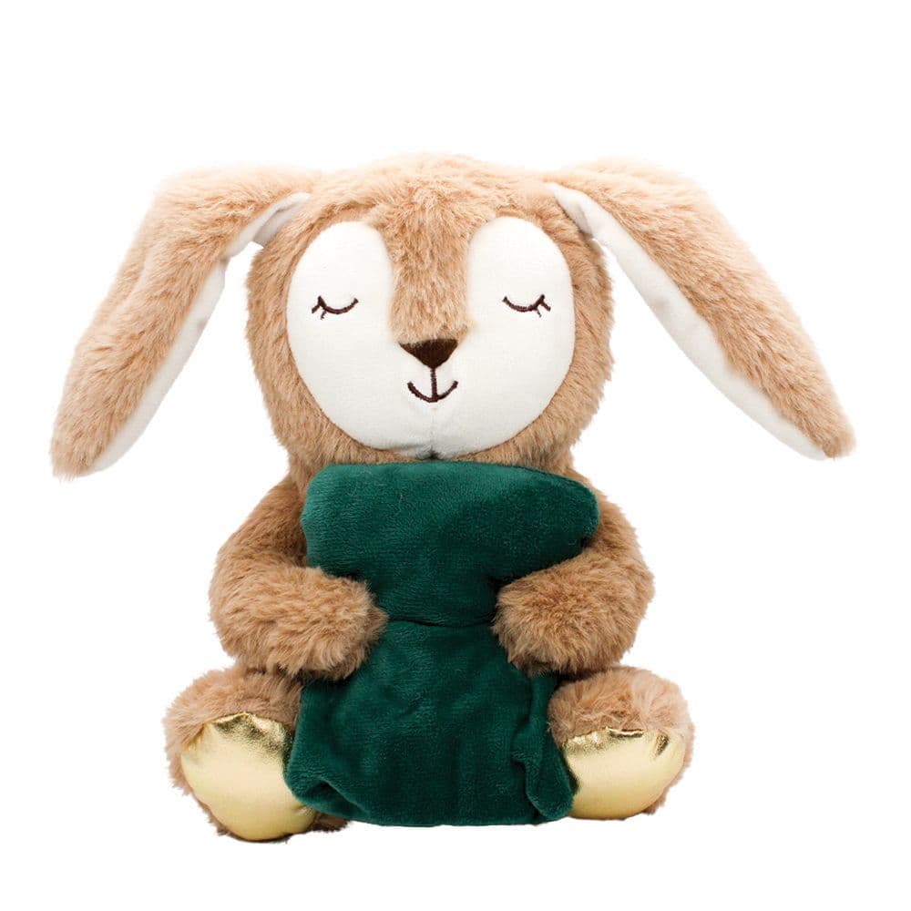 Happy Pet Snoozy Bunny Dog Toy