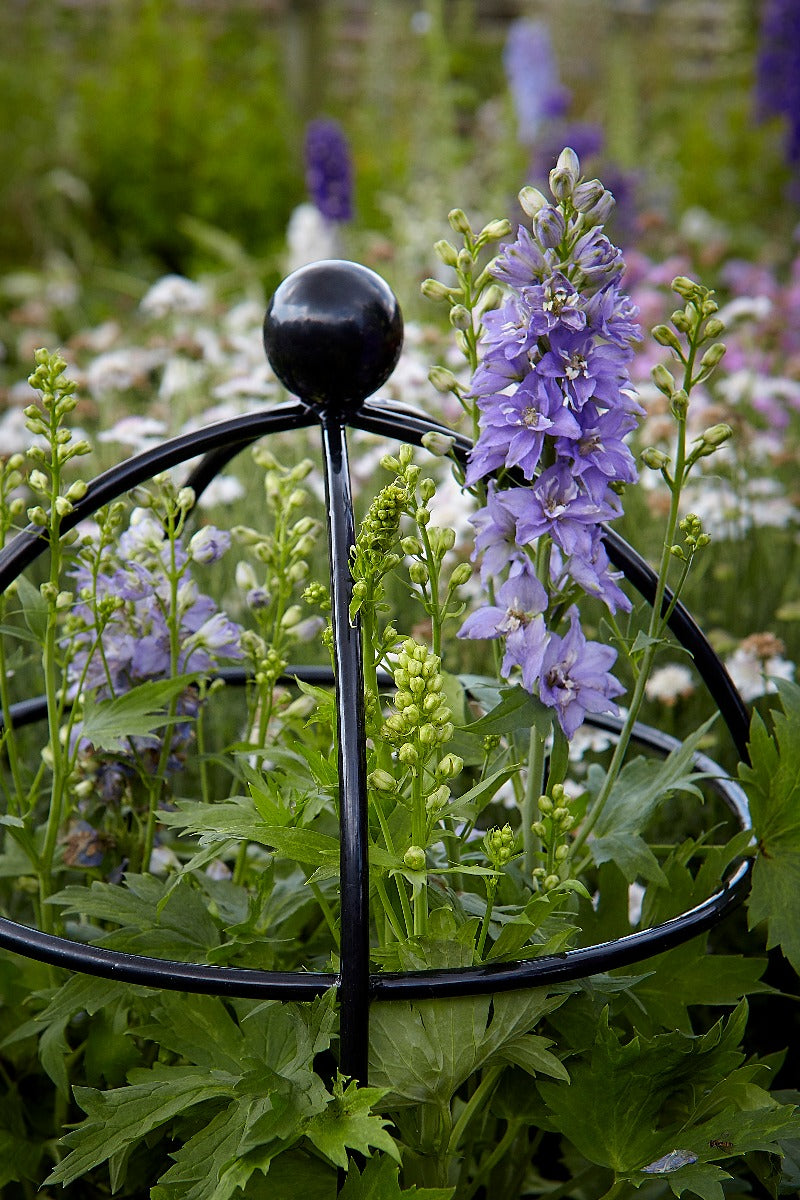 Tom Chambers Heritage Herbaceous Cloche Support