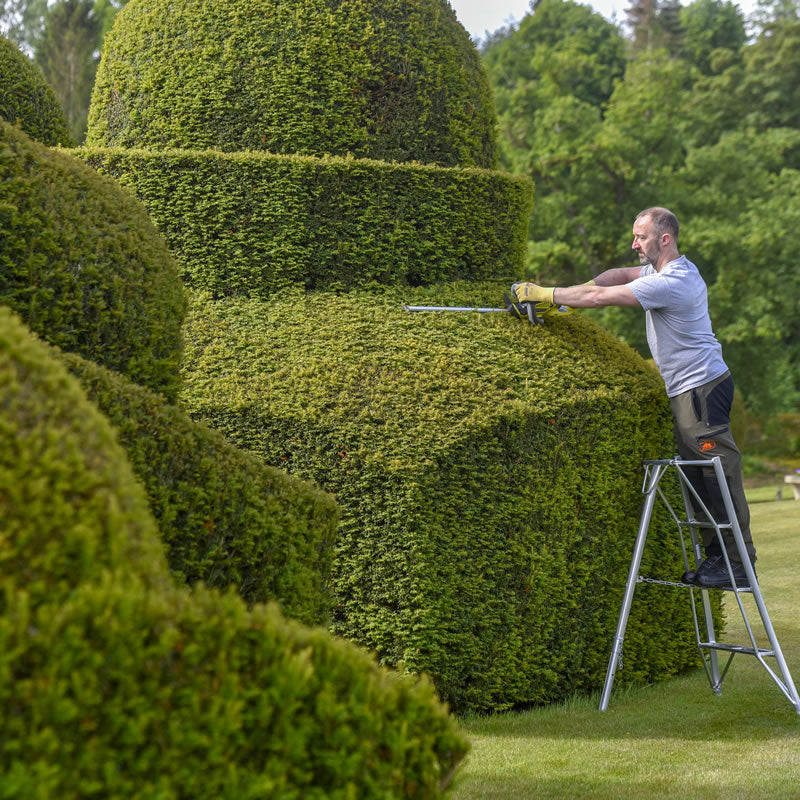 Hendon Standard Tripod Ladder