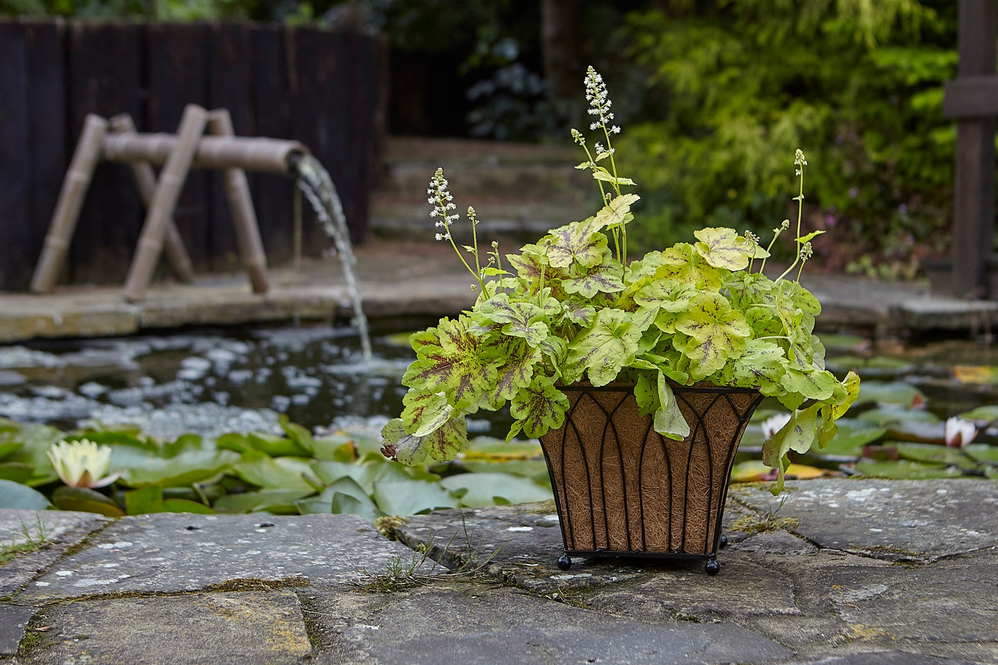 Tom Chambers Lattice Square Planter & Water Save Liner