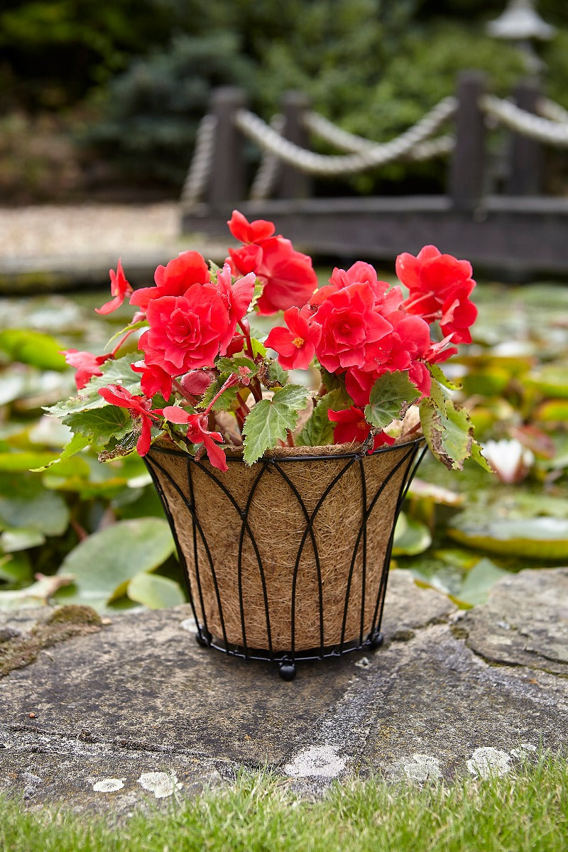 Tom Chambers Lattice Round Planter & Water Save Liner Tom Chambers