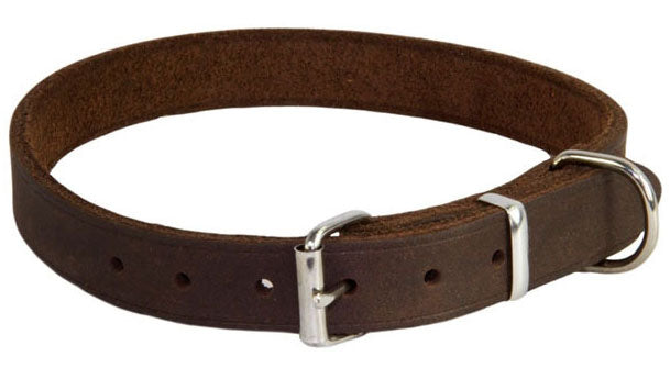 Earthbound Brown Leather Dog Collar XL