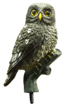 Bisley Small Owl Decoy