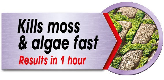 Job Done Moss Killer Ready To Use 1L