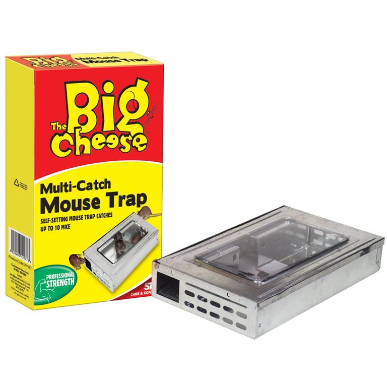 The Big Cheese Large Multi Mouse Trap