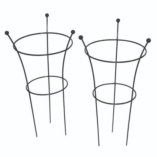 Tom Chambers Peony Support Small 54cm - Pack of 2