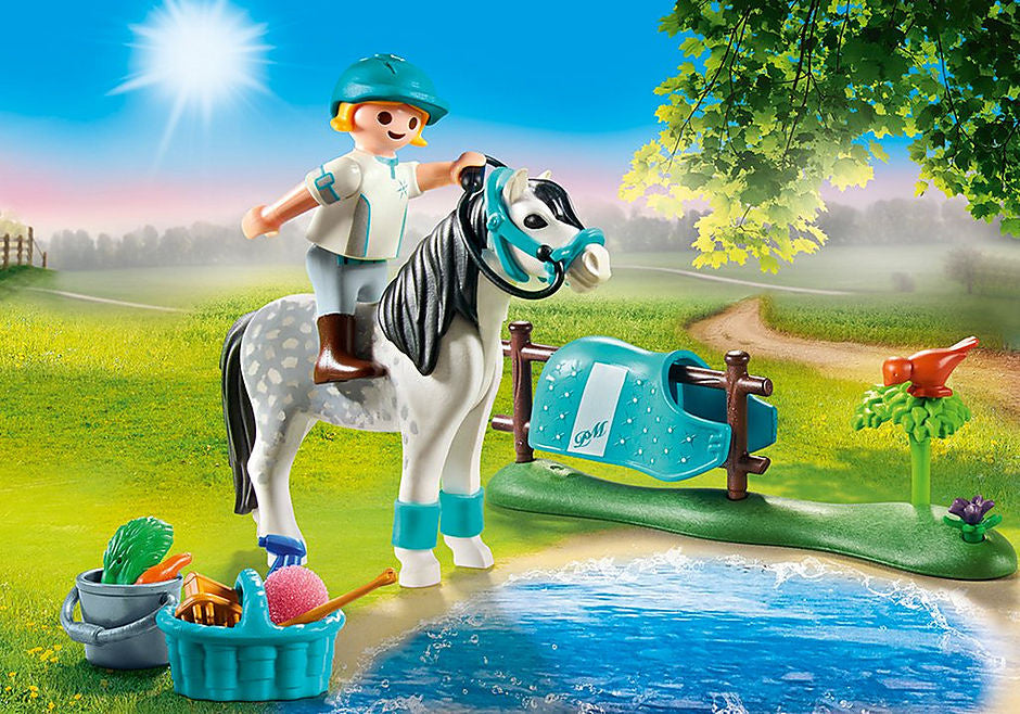 Playmobil Country Collectible Classic Pony 70522