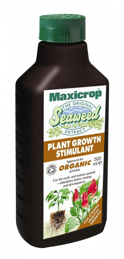 Maxicrop Original Seaweed Extract 500ml