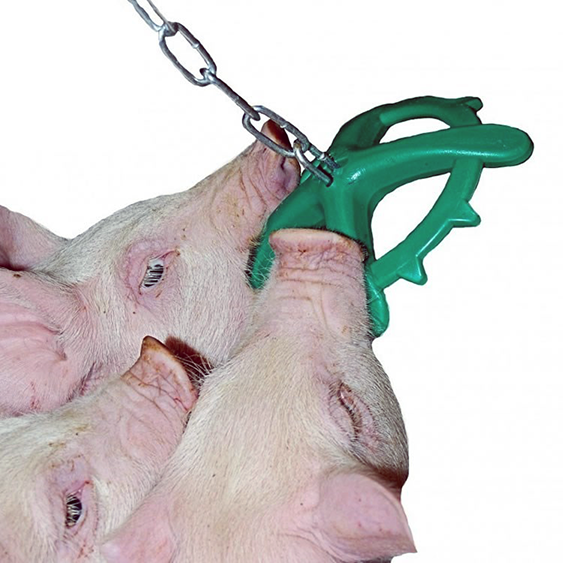 Porcichew Pig Enrichment Toy with Chain