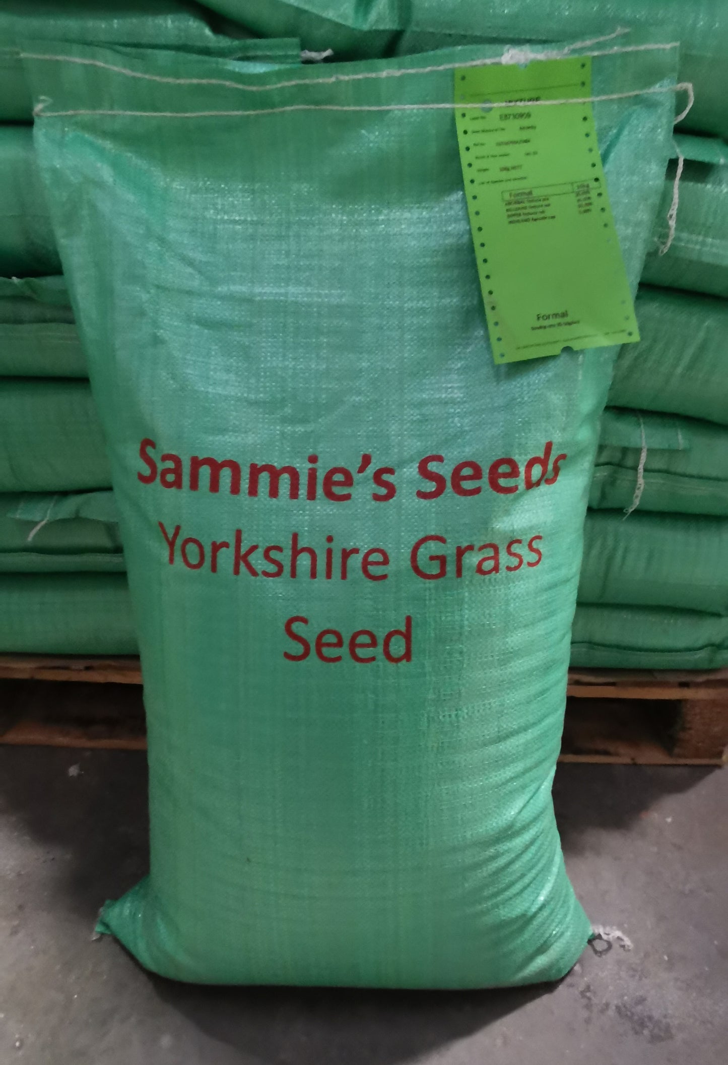 Sammie's Seeds Greensward Grass Mix