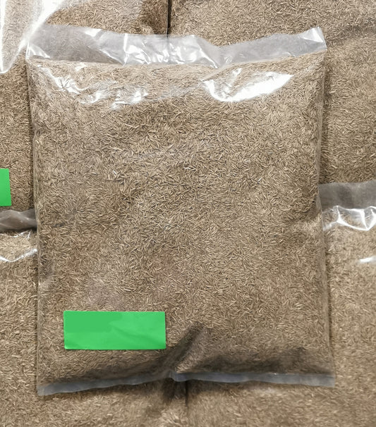 Sammie's Seeds Greensward Grass Mix