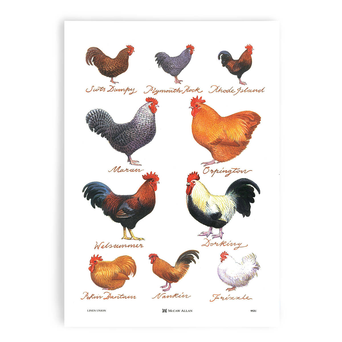 Samuel Lamont Chicken Breeds Tea Towel