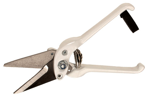 Burgon & Ball Professional Serrated Footrot Shear 9.5"