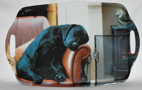 Country Matters Sleeping Lab Tray