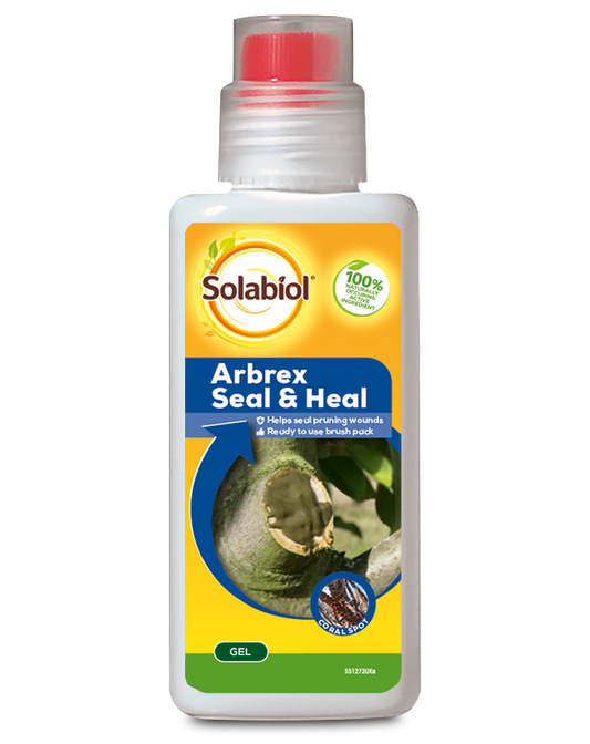 Solabiol Arbrex Seal & Heal 300g