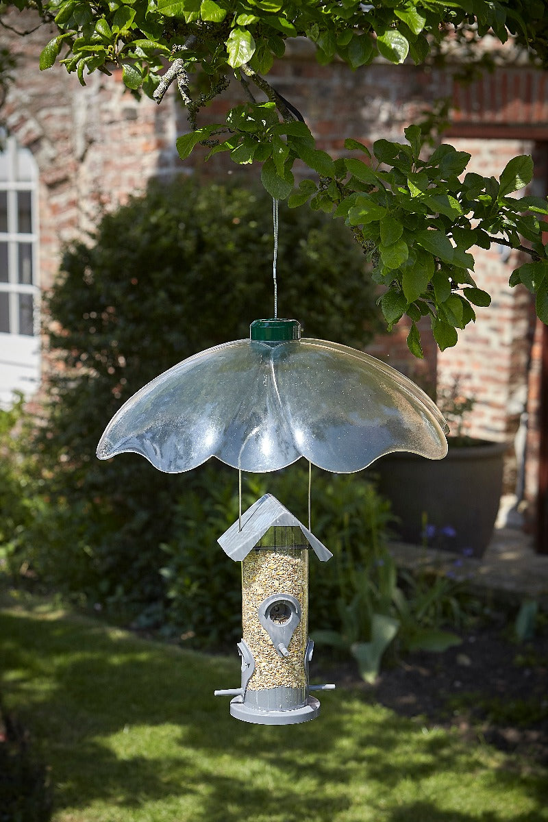 Tom Chambers Squirrel Stop Bird Feeder