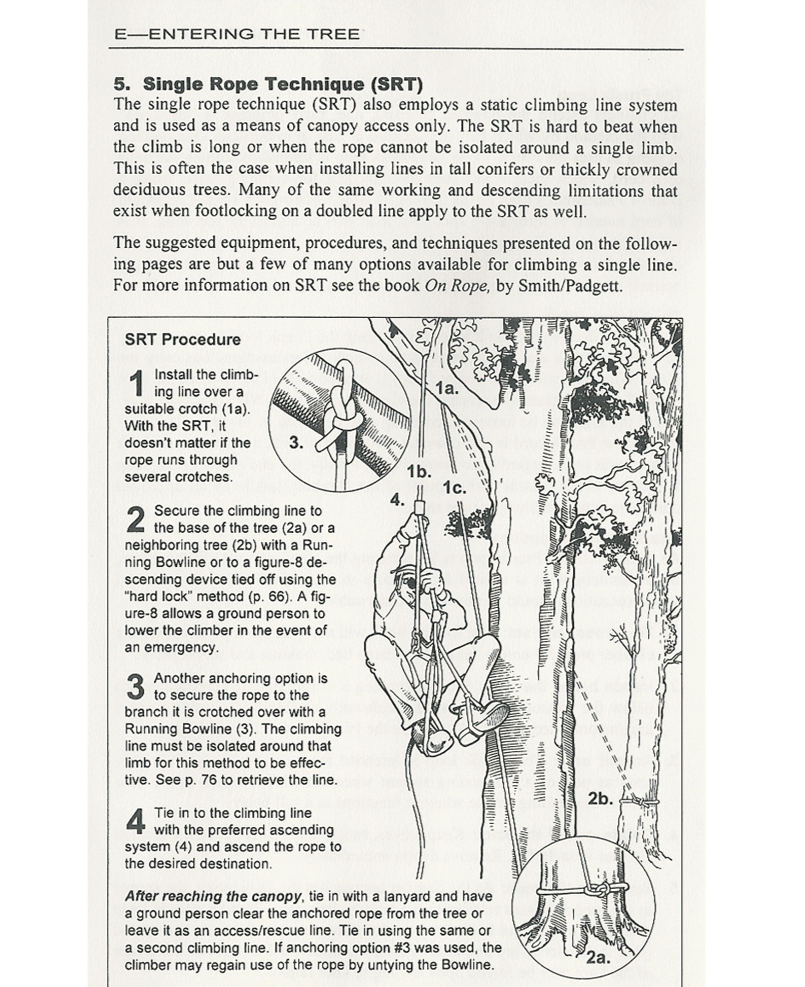 Jeff Jepson's Tree Climbers Companion Edition 2