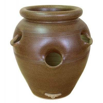 Errington Reay Strawberry Pot Small