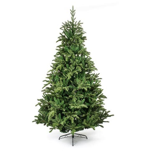 Premier 1.8m Nordman Fir Tree