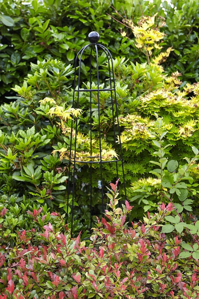 Tom Chambers Abbey Obelisk - Climbing Plant Garden Metal Support - Small