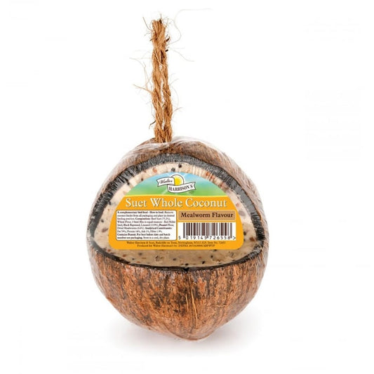 Walter Harrisons Whole Coconut High Energy Suet Feeder