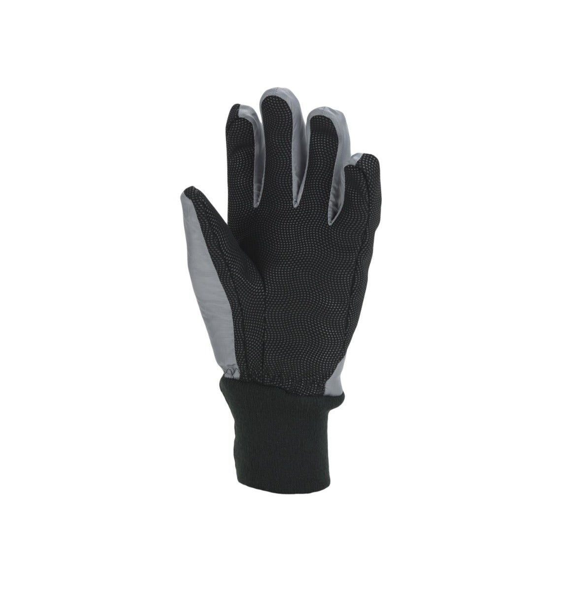 Sealskinz Women's Waterproof All Weather Lightweight Insulated Glove