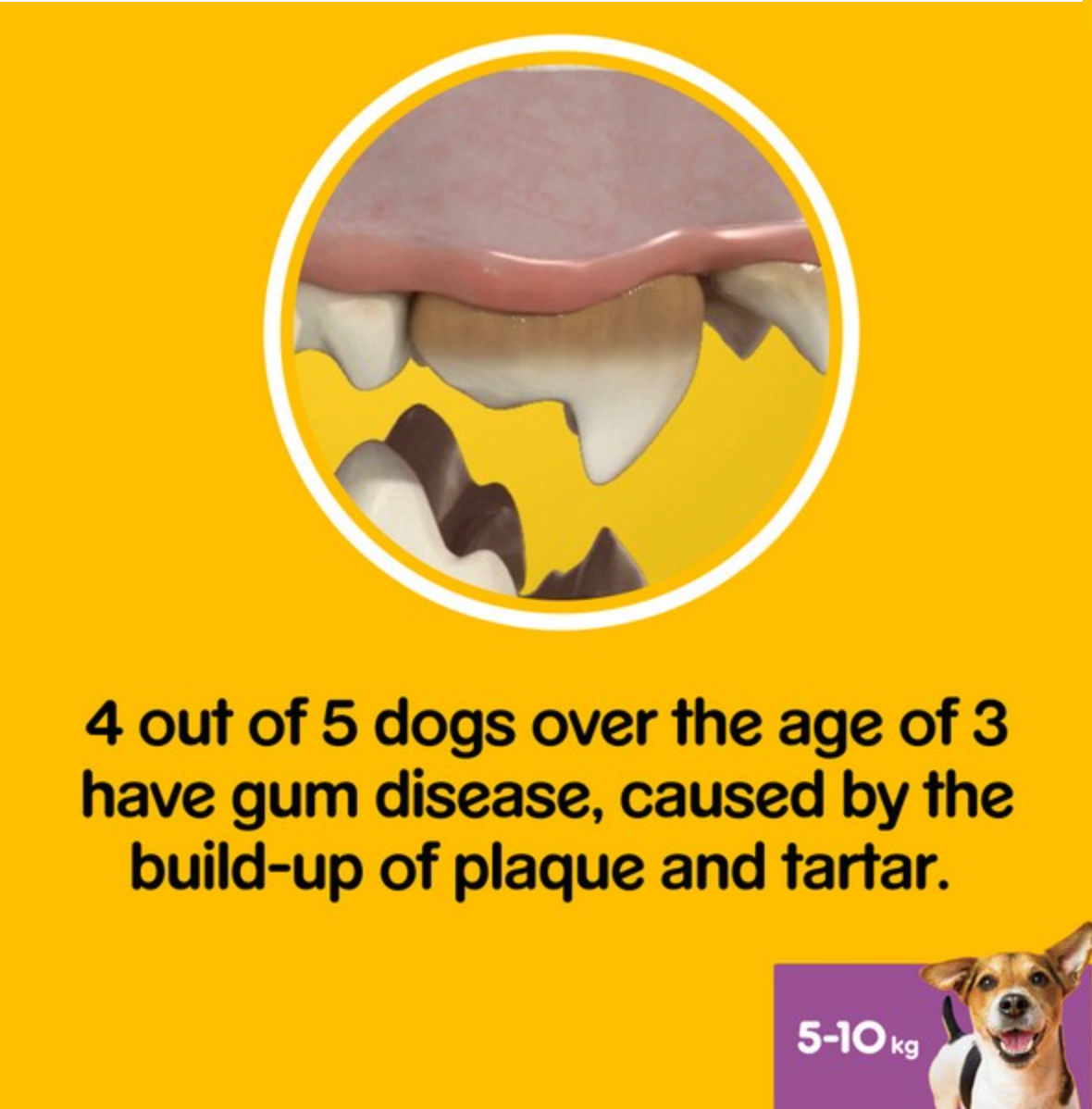 Pedigree Dentastix Fresh Daily Dental Chews Small Dog 7 Stick